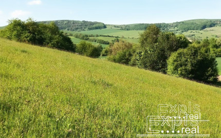 PREDAJ- Výrazná zľava – Pozemok - orná pôda , k.ú. Podbranč - EXPISreal