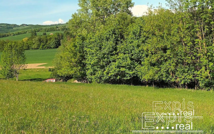 PREDAJ- Výrazná zľava – Pozemok - orná pôda , k.ú. Podbranč - EXPISreal