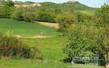 PREDAJ- Výrazná zľava – Pozemok - orná pôda , k.ú. Podbranč - EXPISreal