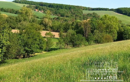 PREDAJ- Výrazná zľava – Pozemok - orná pôda , k.ú. Podbranč - EXPISreal