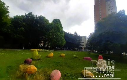 PREDANÉ 4izb veľký byt s výhľadom novostavba DOMINANT  Petržalka  EXPIS REAL