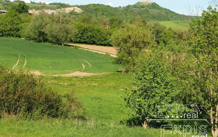 PREDAJ- Výrazná zľava – Pozemok - orná pôda , k.ú. Podbranč - EXPISreal