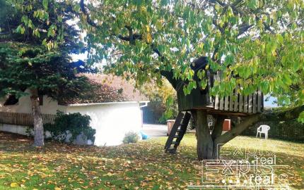 PRENÁJOM  6 izb dom s krásnym výhľadom pri lese na KOLIBE Nové mesto  EXPIS REAL