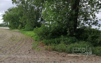 Predaj pozemku na komerčné účely, Domove role, Bratislava, RK EXPISREAL