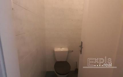 PRENÁJOM 5 izb dom Dog friendly Prievoz Ružinov EXPISREAL