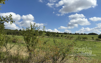 PREDAJ – Pozemok, k.ú. Popudinské Močidľany – EXPISreal