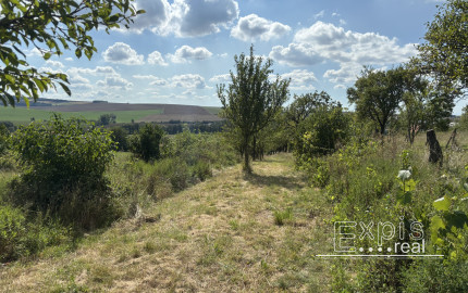 PREDAJ – Pozemok, k.ú. Popudinské Močidľany – EXPISreal