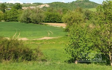 Predaj - Pozemok, orná pôda k.ú. Podbranč - EXPISreal