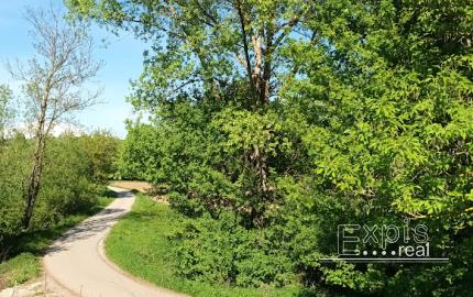 Predaj - Pozemok, orná pôda k.ú. Podbranč - EXPISreal