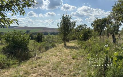 PREDAJ – Pozemok, k.ú. Popudinské Močidľany – EXPISreal