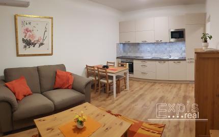 PRENÁJOM 2 izb byt s loggiou, NOVOSTAVBA, Ružinovská ulica, Bratislava Ružinov Expis real