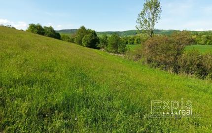 Predaj - Pozemok, orná pôda k.ú. Podbranč - EXPISreal