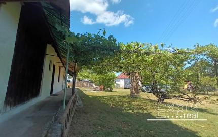 Predaj - Vidiecky dom, Chalupa k.ú. Borský Svätý Jur, Tomky - EXPISreal