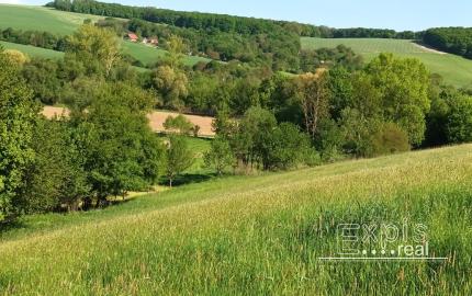 Predaj - Pozemok, orná pôda k.ú. Podbranč - EXPISreal