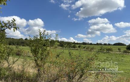 PREDAJ – Pozemok, k.ú. Popudinské Močidľany – EXPISreal