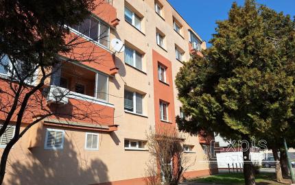 PRENÁJOM 3 izb DogFriendly Ružinov Podunajské Biskupice EXPISREAL