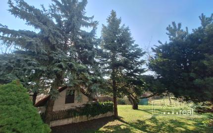 PRENÁJOM 6izb DOG Friendly Koliba Nové Mesto EXPISREAL