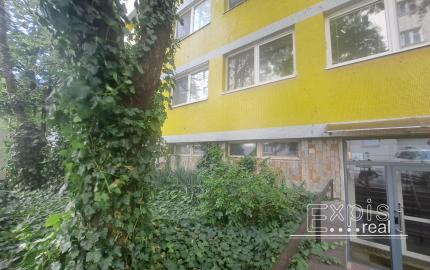 PRENÁJOM 3izb DOG Friendly Staré mesto pri Medickej záhrade EXPISREAL