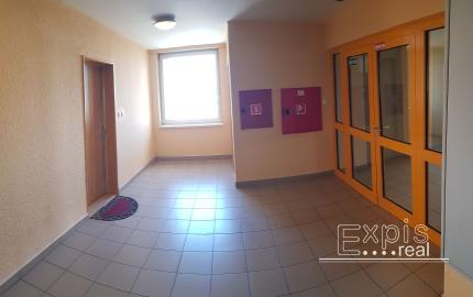 PRENÁJOM 1 izb. byt s balkónom, Vyšehradská ul., NOVOSTAVBA, Bratislava Petržalka