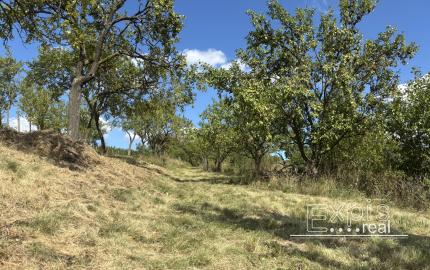 PREDAJ – Pozemok, k.ú. Popudinské Močidľany – EXPISreal