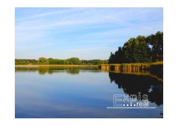 PREDAJ – VIDIECKY DOM, CHALUPA  TOMKY – EXPISREAL