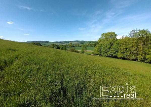 PREDAJ- Výrazná zľava – Pozemok - orná pôda , k.ú. Podbranč - EXPISreal
