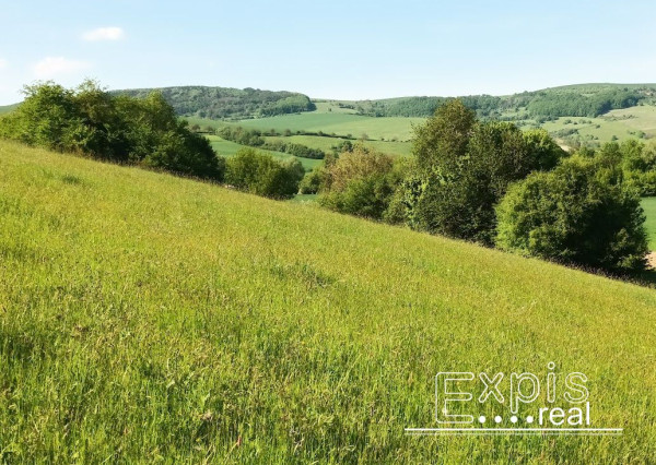 PREDAJ- Výrazná zľava – Pozemok - orná pôda , k.ú. Podbranč - EXPISreal