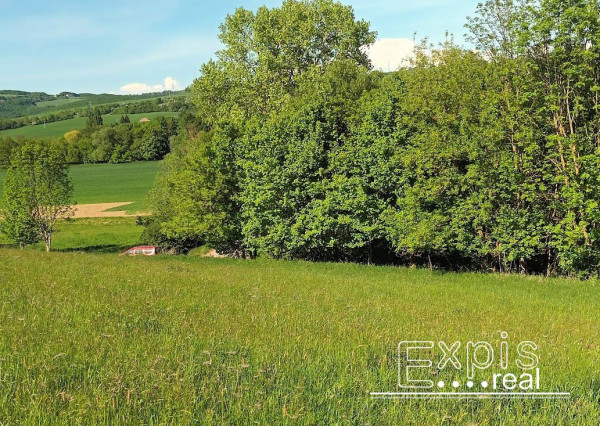 PREDAJ- Výrazná zľava – Pozemok - orná pôda , k.ú. Podbranč - EXPISreal