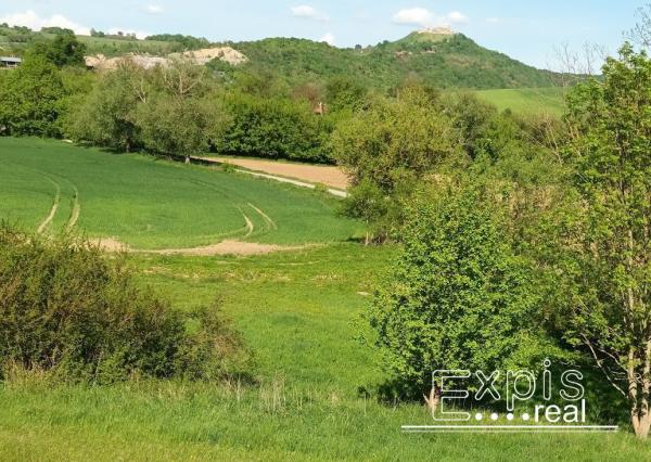 PREDAJ- Výrazná zľava – Pozemok - orná pôda , k.ú. Podbranč - EXPISreal