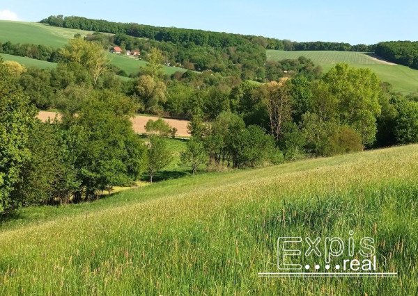 PREDAJ- Výrazná zľava – Pozemok - orná pôda , k.ú. Podbranč - EXPISreal