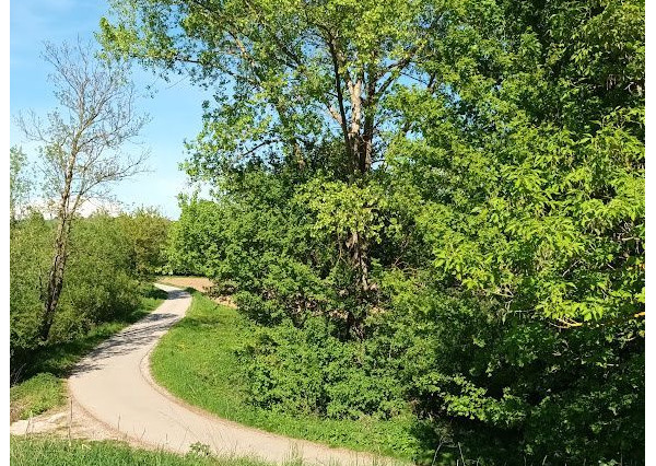 PREDAJ- Výrazná zľava – Pozemok - orná pôda , k.ú. Podbranč - EXPISreal