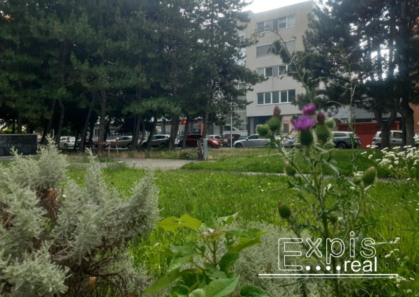 PREDANÉ 4izb veľký byt s výhľadom novostavba DOMINANT  Petržalka  EXPIS REAL