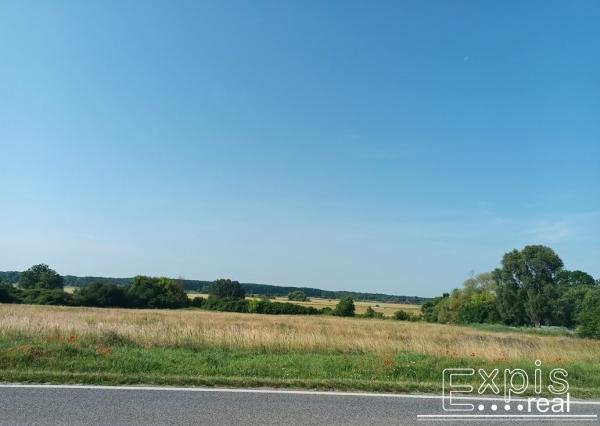 PREDAJ – Rodinný dom,  Šaštín Stráže okr. Senica - EXPISreal