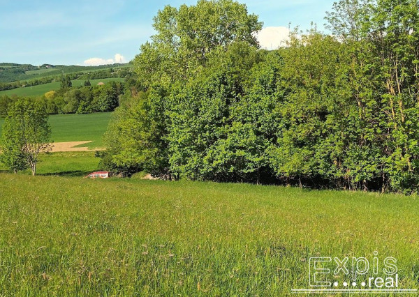 PREDAJ- Výrazná zľava – Pozemok - orná pôda , k.ú. Podbranč - EXPISreal