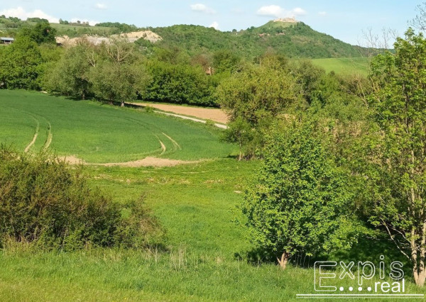 PREDAJ- Výrazná zľava – Pozemok - orná pôda , k.ú. Podbranč - EXPISreal