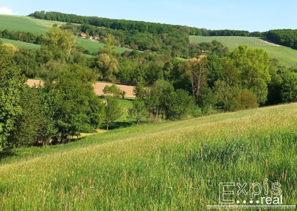 PREDAJ- Výrazná zľava – Pozemok - orná pôda , k.ú. Podbranč - EXPISreal