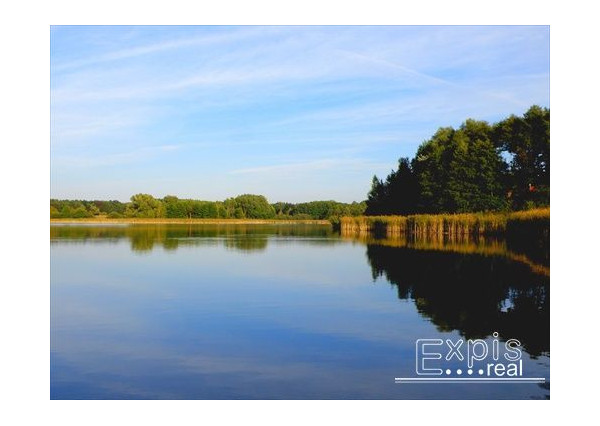 PREDAJ – VIDIECKY DOM, CHALUPA  TOMKY – EXPISREAL