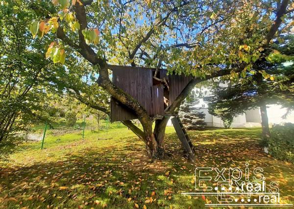 PRENÁJOM  6 izb dom s krásnym výhľadom pri lese na KOLIBE Nové mesto  EXPIS REAL