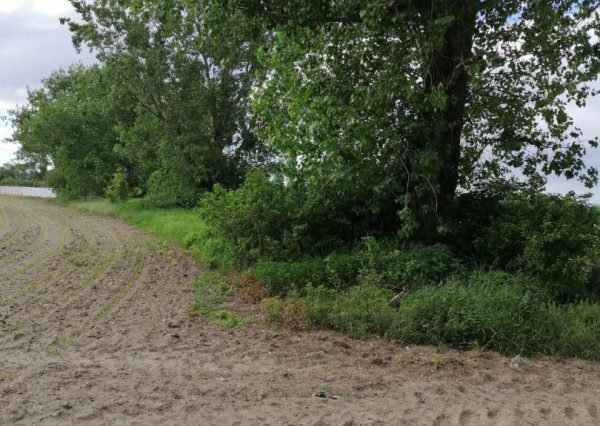 Predaj pozemku na komerčné účely, Domove role, Bratislava, RK EXPISREAL