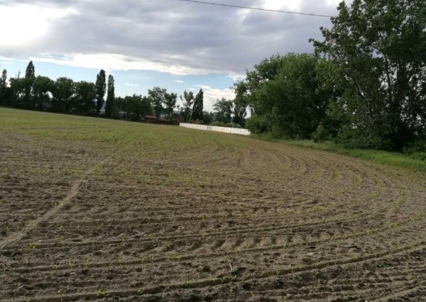 Predaj pozemku na komerčné účely, Domove role, Bratislava, RK EXPISREAL