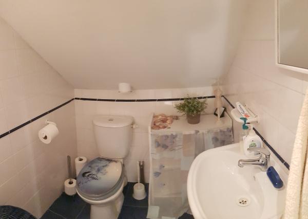 PREDAJ Rodinný dom so záhradou, Potônske Lúky,  okr. Dunajská Streda EXPIS REAL