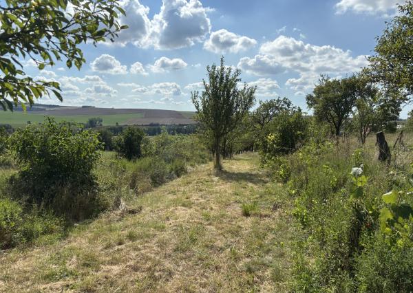 PREDAJ – Pozemok, k.ú. Popudinské Močidľany – EXPISreal