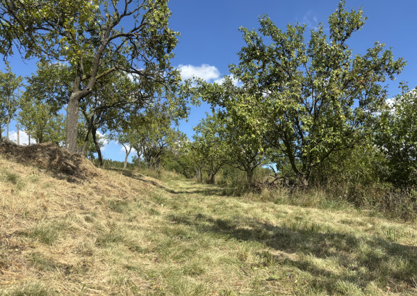 PREDAJ – Pozemok, k.ú. Popudinské Močidľany – EXPISreal