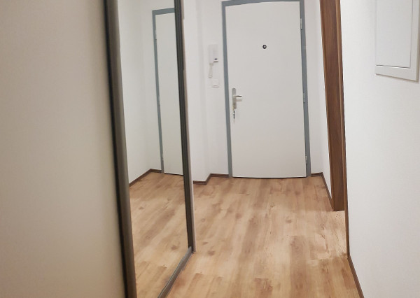 PRENÁJOM 2 izb byt s loggiou, NOVOSTAVBA, Ružinovská ulica, Bratislava Ružinov Expis real