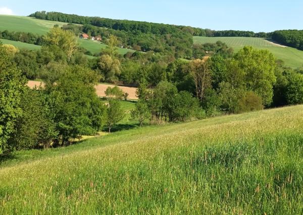 Predaj - Pozemok, orná pôda k.ú. Podbranč - EXPISreal