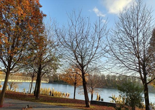 PRENAJOM 2 izbovy byt EUROVEA Expis real