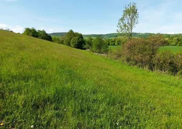 Predaj - Pozemok, orná pôda k.ú. Podbranč - EXPISreal