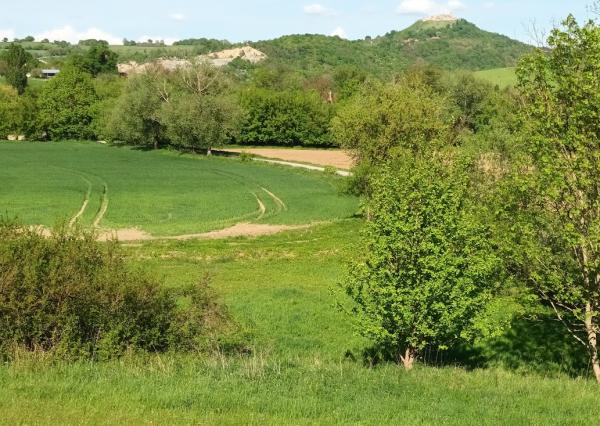 Predaj - Pozemok, orná pôda k.ú. Podbranč - EXPISreal