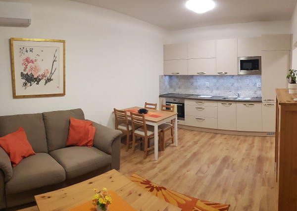 PRENÁJOM 2 izb byt s loggiou, NOVOSTAVBA, Ružinovská ulica, Bratislava Ružinov Expis real