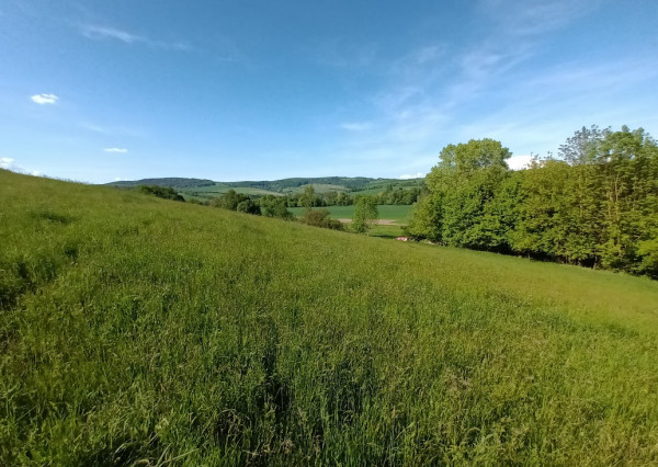 Predaj - Pozemok, orná pôda k.ú. Podbranč - EXPISreal